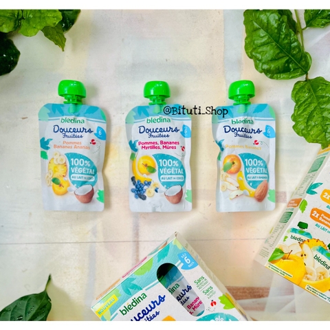 Trái cây nghiền mix sữa dừa Bledina túi 90g