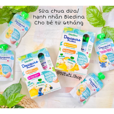Trái cây nghiền mix sữa dừa Bledina túi 90g