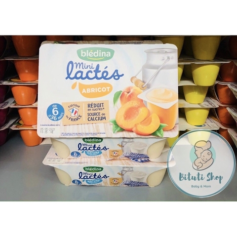 Sữa chua Bledina mini lactes