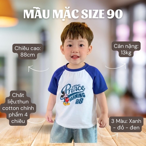 Áo thun hình chuột mickey Bernie