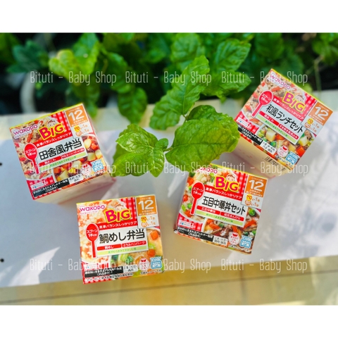 Set hộp Wakodo Big 12m