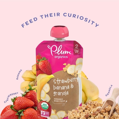 Trái cây nghiền Plum Organics 100g