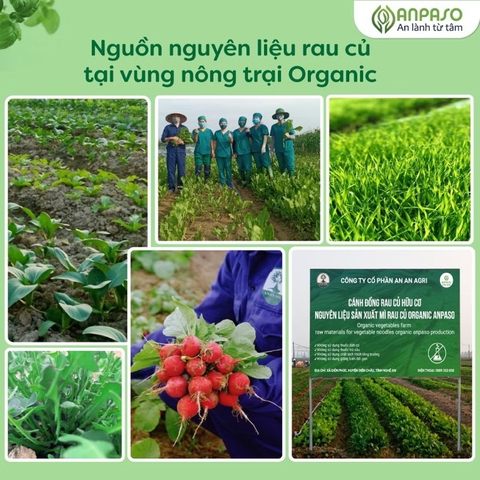 Mì rau củ ăn dặm Anpaso