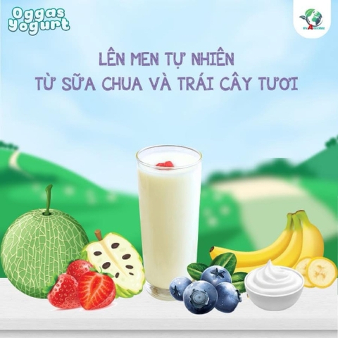 Sữa chua khô Oggas Yogurt
