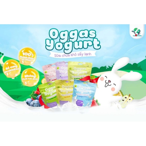 Sữa chua khô Oggas Yogurt