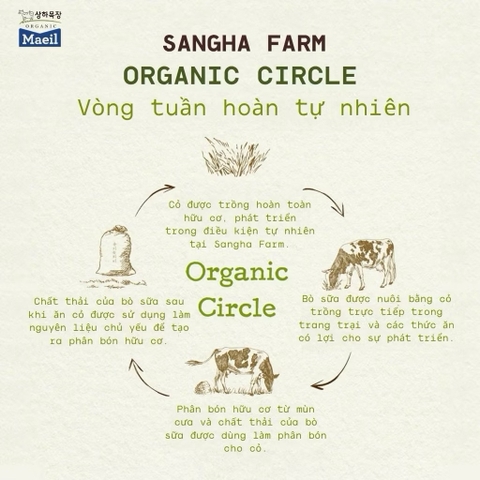 Sữa tươi Maeil Sangha Farm