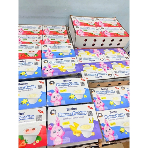 Pudding Burine (50g x 6)