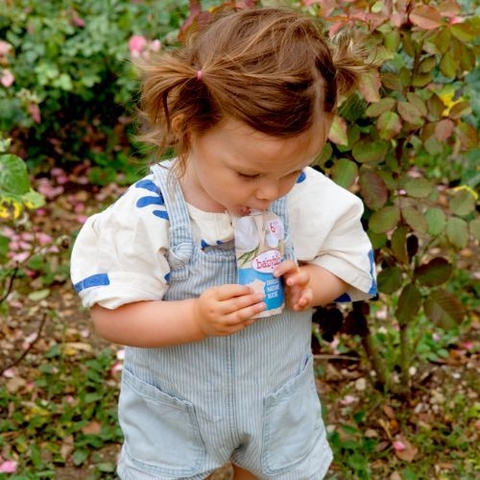 Sữa chua hữu cơ Babybio từ sữa bò/ sữa dê/ sữa cừu/ sữa thực vật dạng túi 85gr cho bé từ 6 tháng