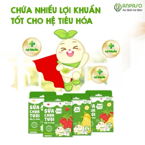 Sữa chua sấy tự nhiên Anpaso cho bé từ 8 tháng