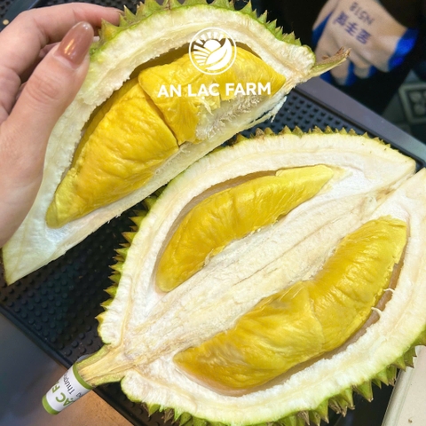 Sầu riêng Musang King