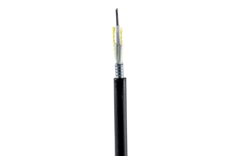 Cáp quang Panduit FLSNX06 Opti-Core OM3 6 sợi bọc thép ngoài trời