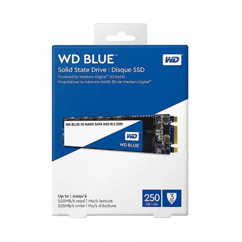 Ổ Cứng SSD WD Blue 250GB M.2 SATA III – Hiệu Suất Vượt Trội cho Máy Tính Của Bạn