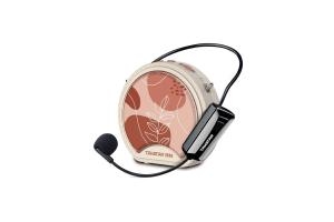 Loa trợ giảng không dây E20W (Mic không dây cài đầu)