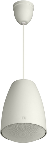 Loa Treo Trần TOA PE-64 và PE-304