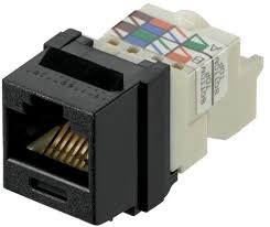 Nhân mạng Panduit NetKey Cat6 (NK6TMBL)