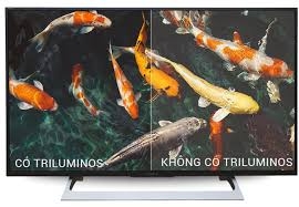 Tivi LED 43 inch Sony KD43X8000E Giá Tốt