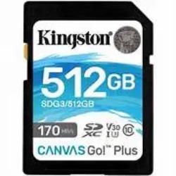 Kingston Canvas Go Plus SDXC 512GB (SDG3/512GB) | Hàng chính hãng