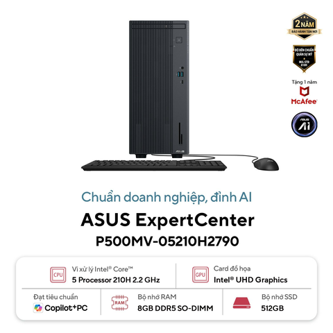 Máy tính để bàn ASUS ExpertCenter P500MV-05210H2790