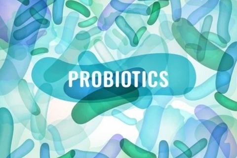 Lợi ích của probiotics với hệ tiêu hóa