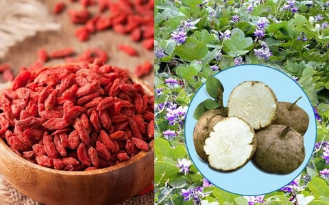 Sâm Tố Nữ Kỷ Tử: Bí Quyết Cho Làn Da Trẻ Trung và Đẹp