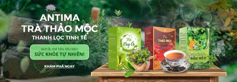 https://antima.vn/lien-he