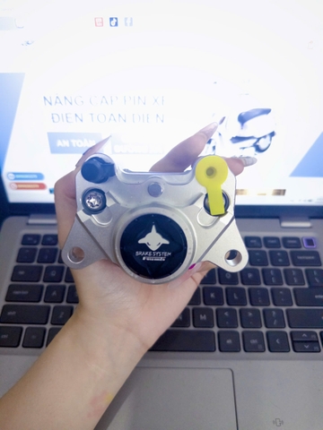 Heo 2 Piston Cá Mập