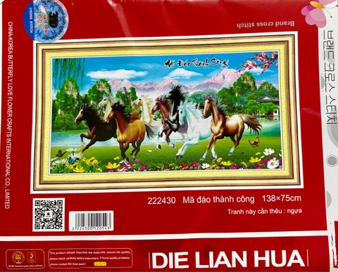 Mã đáo 222430