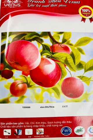 Tranh thêu kín Trái táo VS9088, kích thước 50x70 cm