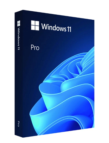 PM Microsoft Win Pro 11 64bit Eng USB HAV-00163 Full pack