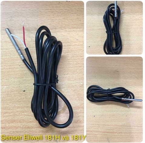 Senser Nhiệt Độ Kho Lạnh Ewelly 181H và Ewelly 181Y