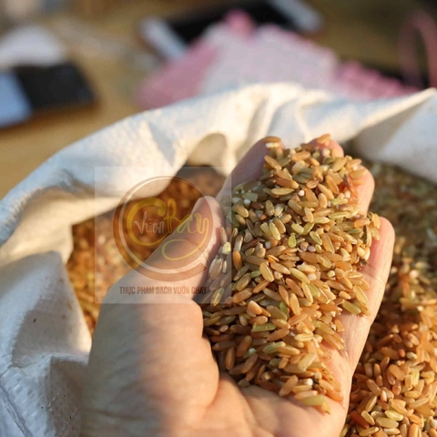 Gạo lứt đỏ dẻo Điện Biên vụ mới 1kg