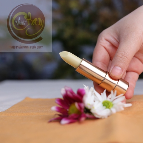 Son dưỡng thảo mộc không mầu không chì