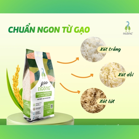 Gạo lứt ST25 hữu cơ ruộng rươi túi 3kg