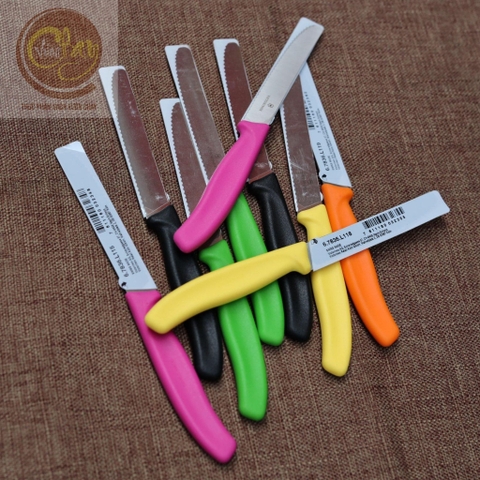 Dao Thái Thuỵ Sĩ