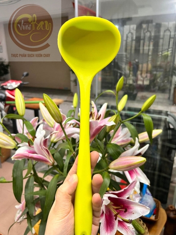 Muôi enzyme quấy chống xước thùng