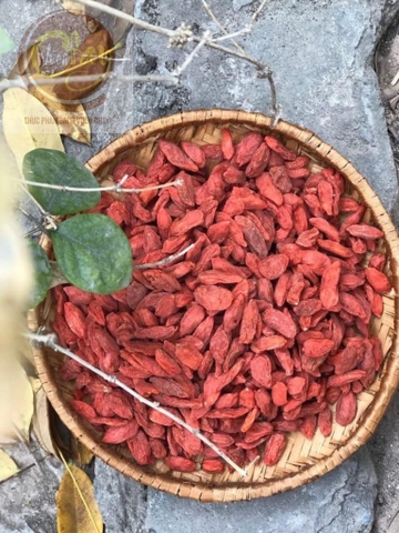 Kỳ tử Kỷ Cống 500g