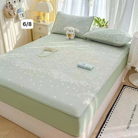 Chiếu Băng Lạnh A+