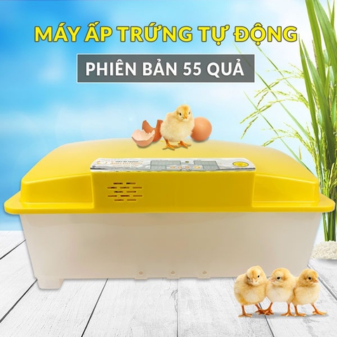 Máy Ấp Trứng Gà Ánh Dương A100 – Giải Pháp Ấp Nở Thông Minh