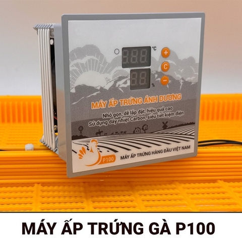 Máy ấp trứng gà Ánh Dương P300 chính hãng mới nhất 2023