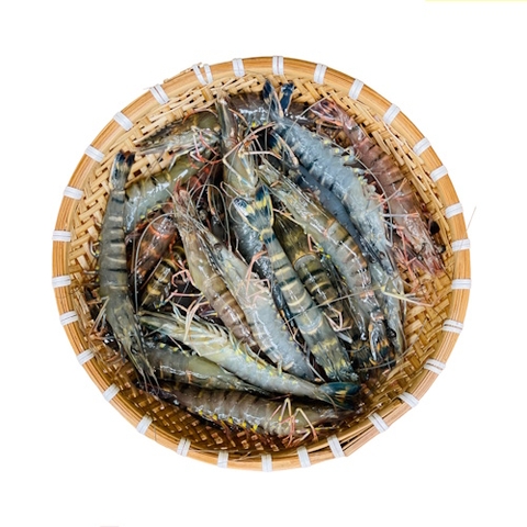 (331) 300g Tôm Sú Sống Dập Đá (10-15 con)