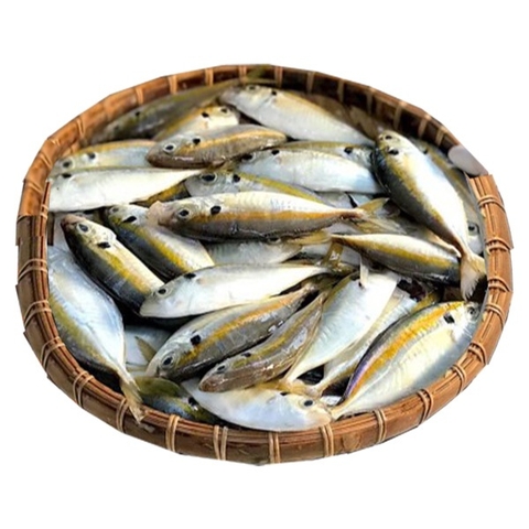 (281) 500g Cá Chỉ Vàng