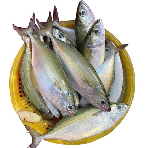 (280) 500g Cá Bạc Má Tươi