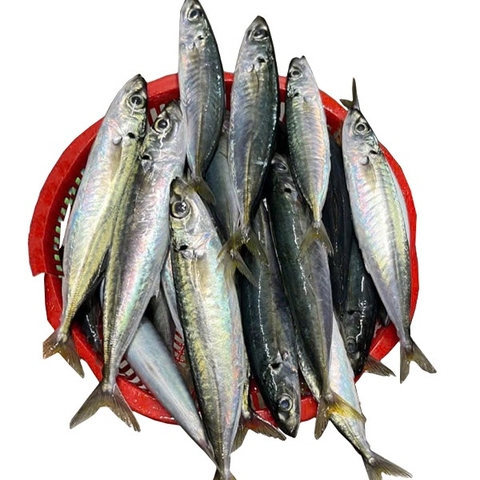 (292) 500g Cá Nục Suông (5-6 con)