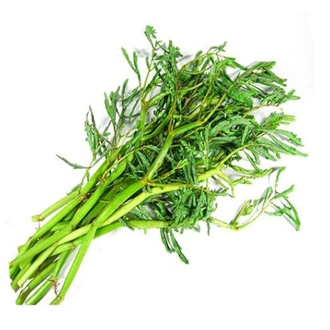 (106) 400g Rau Nhút Tươi