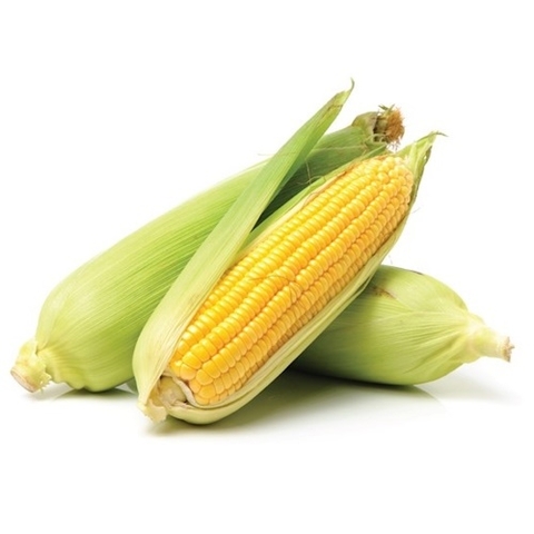 (4) 1 Trái Bắp Mỹ