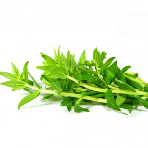 (89) 50g Ngò Om (rau ngỗ)