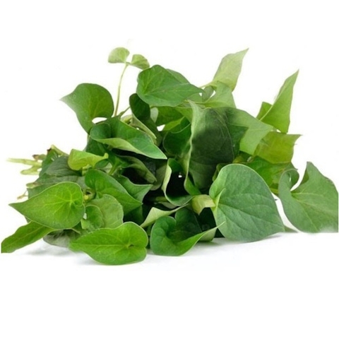 (45) 100g Diếp Cá