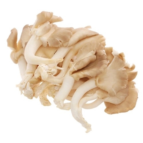 (79) 100g Nấm Bào Ngư