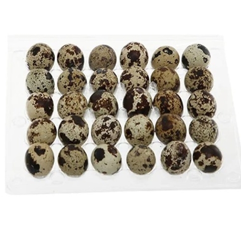 (450) Vĩ 30 Trứng Cút