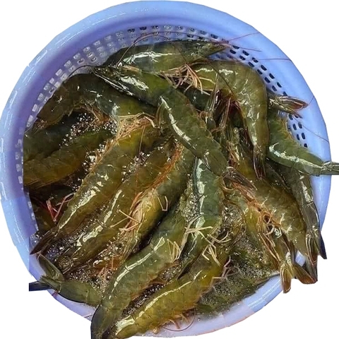 (332) 300g Tôm Thẻ Sống Dập Đá (15-17con)